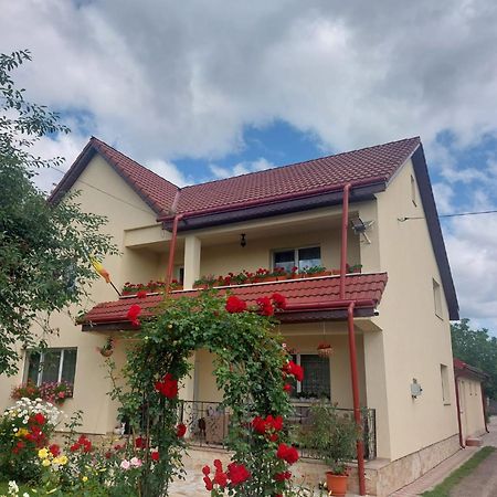 Steaua Nordului Târgu Neamţ Exterior foto
