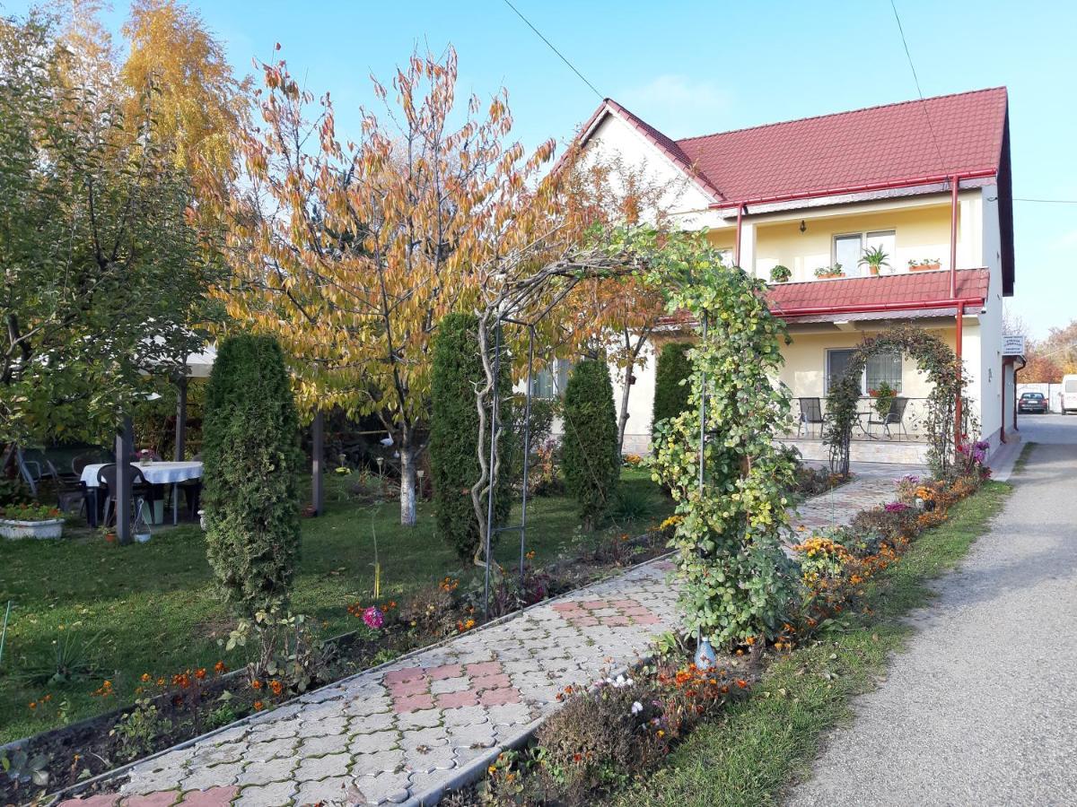 Steaua Nordului Târgu Neamţ Exterior foto